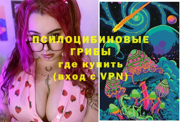 прущая мука Корсаков