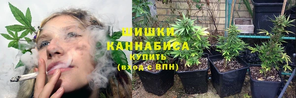прущая мука Корсаков