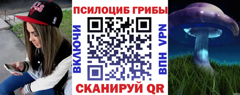 Галлюциногенные грибы мицелий  купить наркоту  Малгобек 